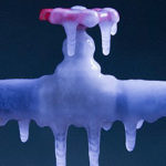winterize