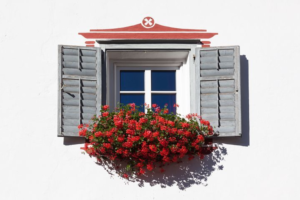 Window